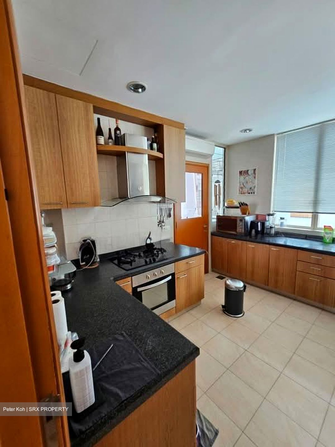The Horizon (D10), Condominium #571155801